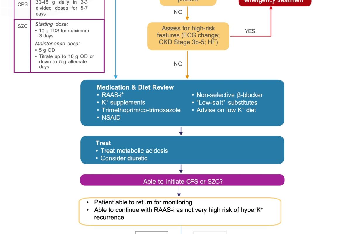 All K+ levels are in mmol/L. *RAAS-i = ACE-i/ARB, ARNI and MRA. [ACE-i: angiotensin-converting enzyme inhibitor; AKI: acute kidney injury; ARB: angiotensin II receptor blocker; ARNI: angiotensin receptor-neprilysin inhibitor; CKD: chronic kidney disease; CPS: calcium polystyrene sulfonate; ECG: electrocardiogram; ED: emergency department; HF: heart failure; K+: potassium; MRA: mineralocorticoid receptor antagonist; NSAID: non-steroidal anti-inflammatory drug; PO: orally; TDS: three times daily; RAAS-i: reni
